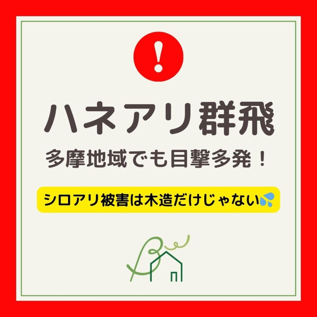 ハネアリ群飛警報発令中!~シロアリ被害は木造だけじゃない ~ | 株式会社 BELL WOOD
