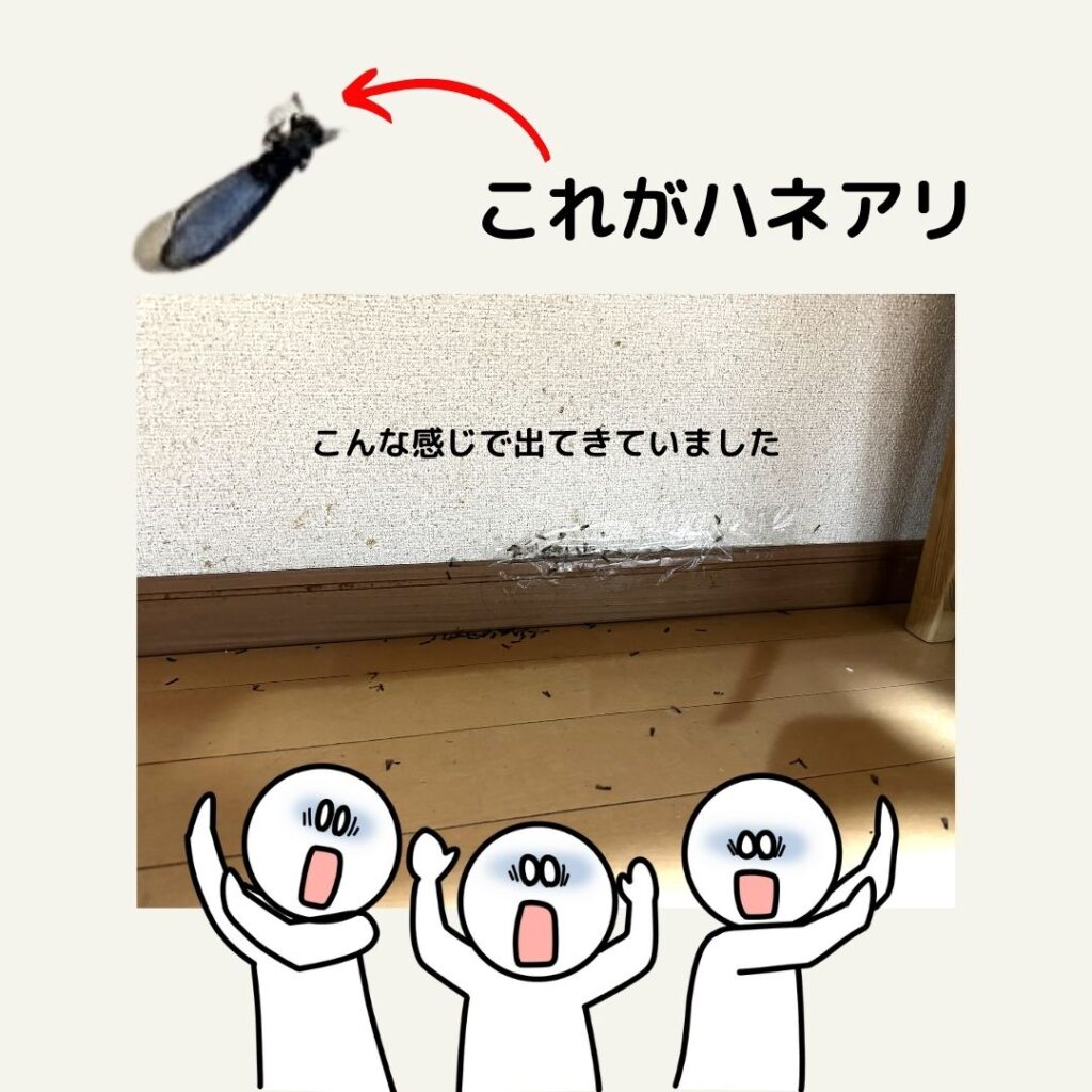 ハネアリ群飛警報発令中!~シロアリ被害は木造だけじゃない ~ | 株式会社 BELL WOOD